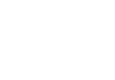 Netsus